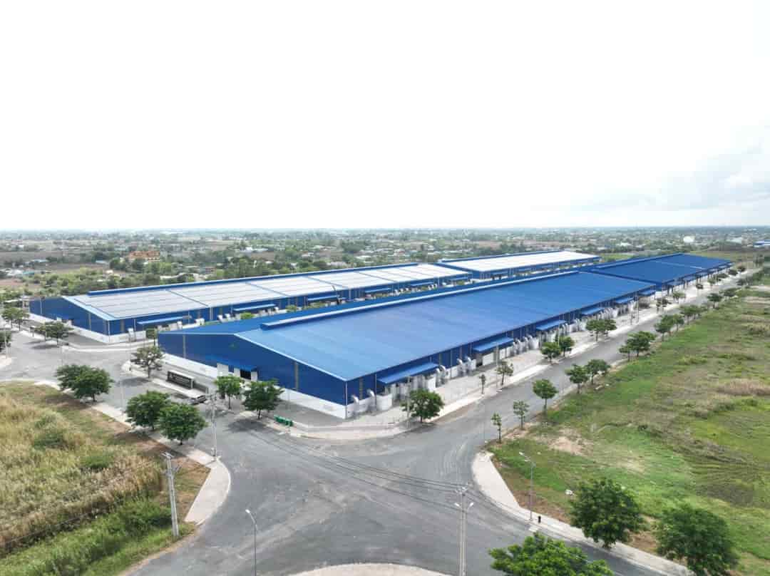 Cho thuê nhà xưởng 19,200m2 tại KCN Cầu Cảng IMG Phước Đông