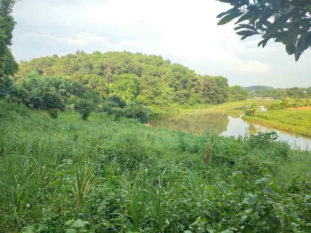 Mảnh đất thổ cư yên bài ba vì đường bê tông cách đường tỉnh lộ 87 2km