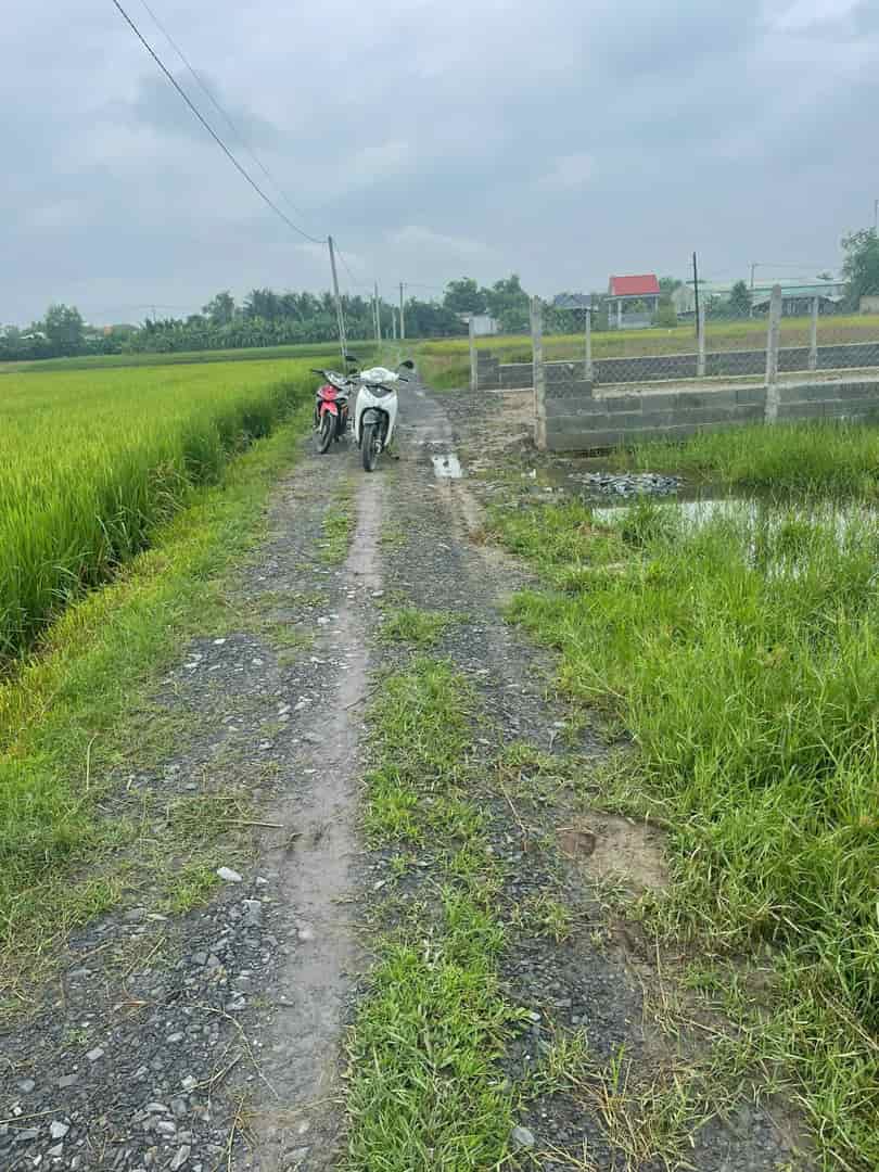 Bán đất vườn liền kề khu công nghiệp Huỳnh Mai, thuộc ấp Rừng Sến, xã Mỹ Hạnh Bắc huyện Đức Hoà Tỉnh Long An