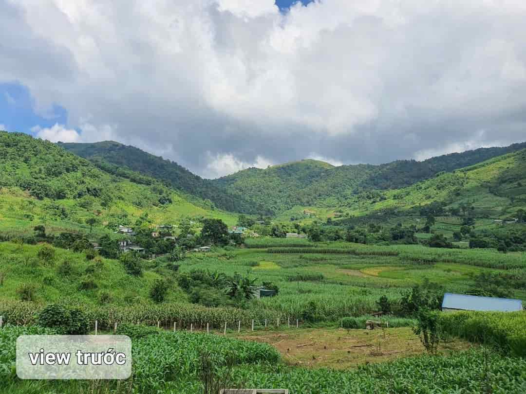 Chính chủ bán 9300m đất tại Cao Phong, Hòa Bình