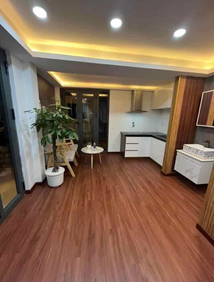 Bán nhà đường Nguyễn Thị Tần, Phường 2, Quận 8, TP.HCM, 60m2, 1 tỷ 230 triệu, SHR