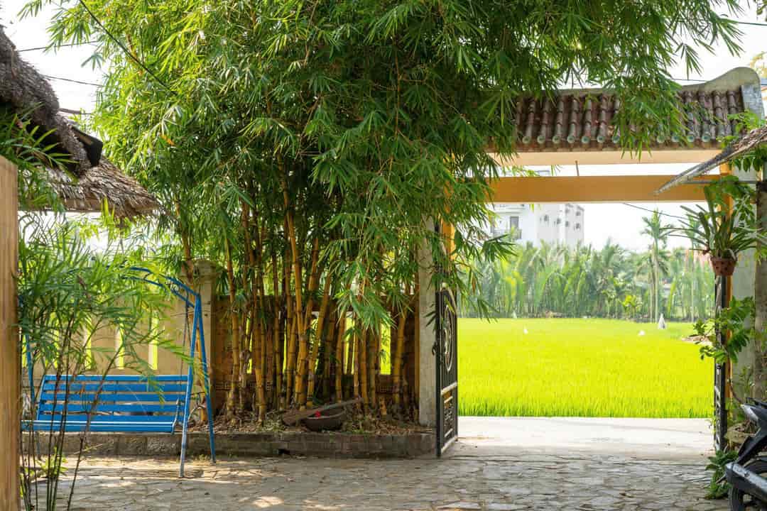 Homestay Hội An Quảng Nam bán cắt lỗ, diện tích hơn 400m2 giá tốt để đầu tư sinh lời