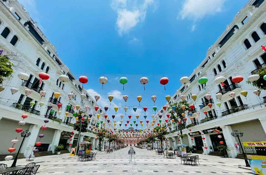 Có giỏ hàng đẹp nhất nhì Danko Avenue, đẳng cấp sống thượng lưu tại TP. Sông Công, giá từ 2.25tỷ/lô liền kề