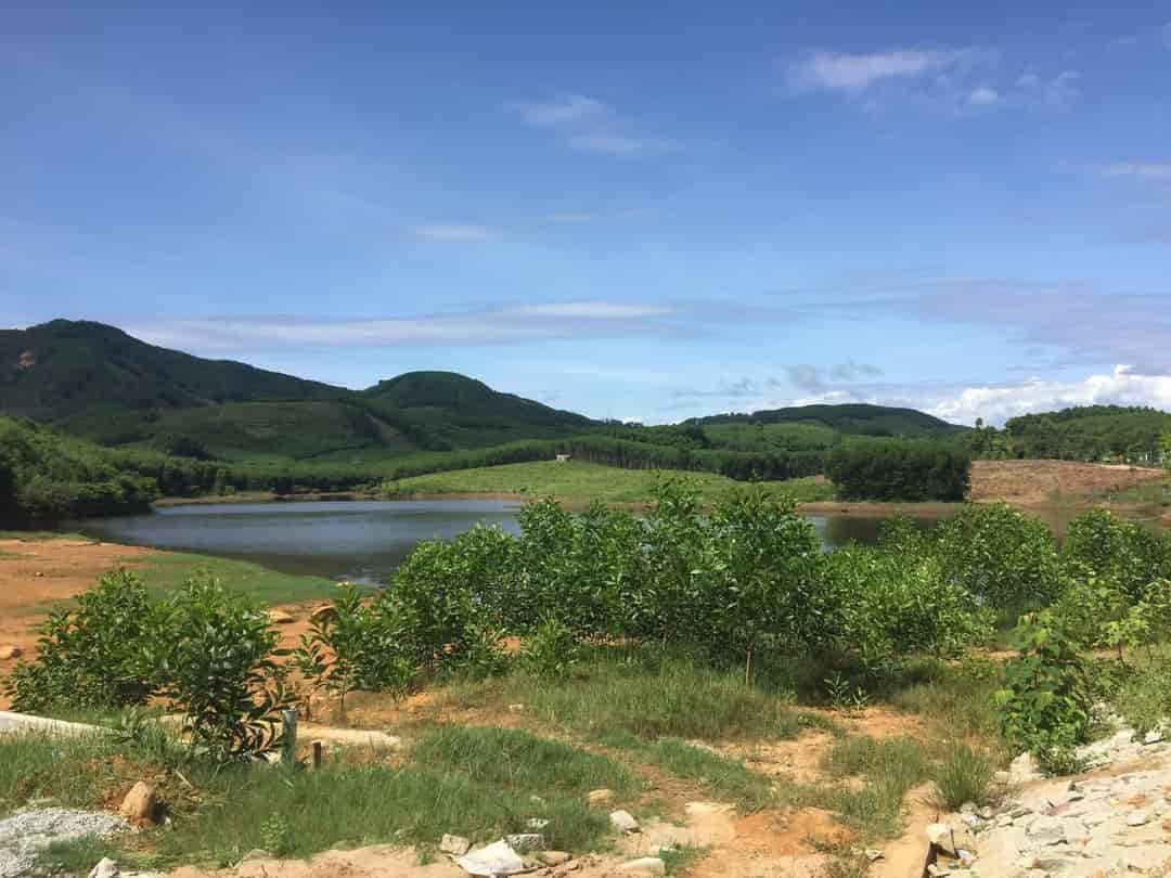 Đất trang trại Bình Thành, hương trà, 6500m2, 3 tỷ có thương lượng