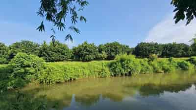 Bán mảnh đất xã Tràng Lương 30000m trồng cây lâu năm, mặt đường Tâm Linh, Ngọa Vân, Yên Tử, nhỉnh 1 tỷ