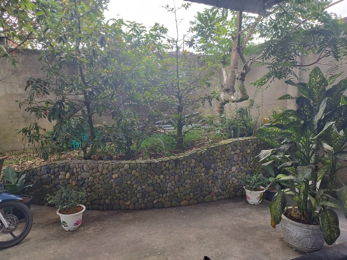 Bán gấp nhà đất full nội thất và vườn mai kiểng 848m² view sông Hoà Thành Lai Vung