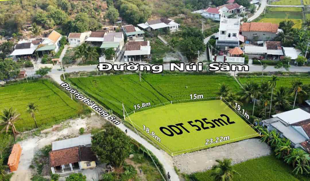 Bán đất phường Ninh Giang Ninh Hoà 501m2 full thổ