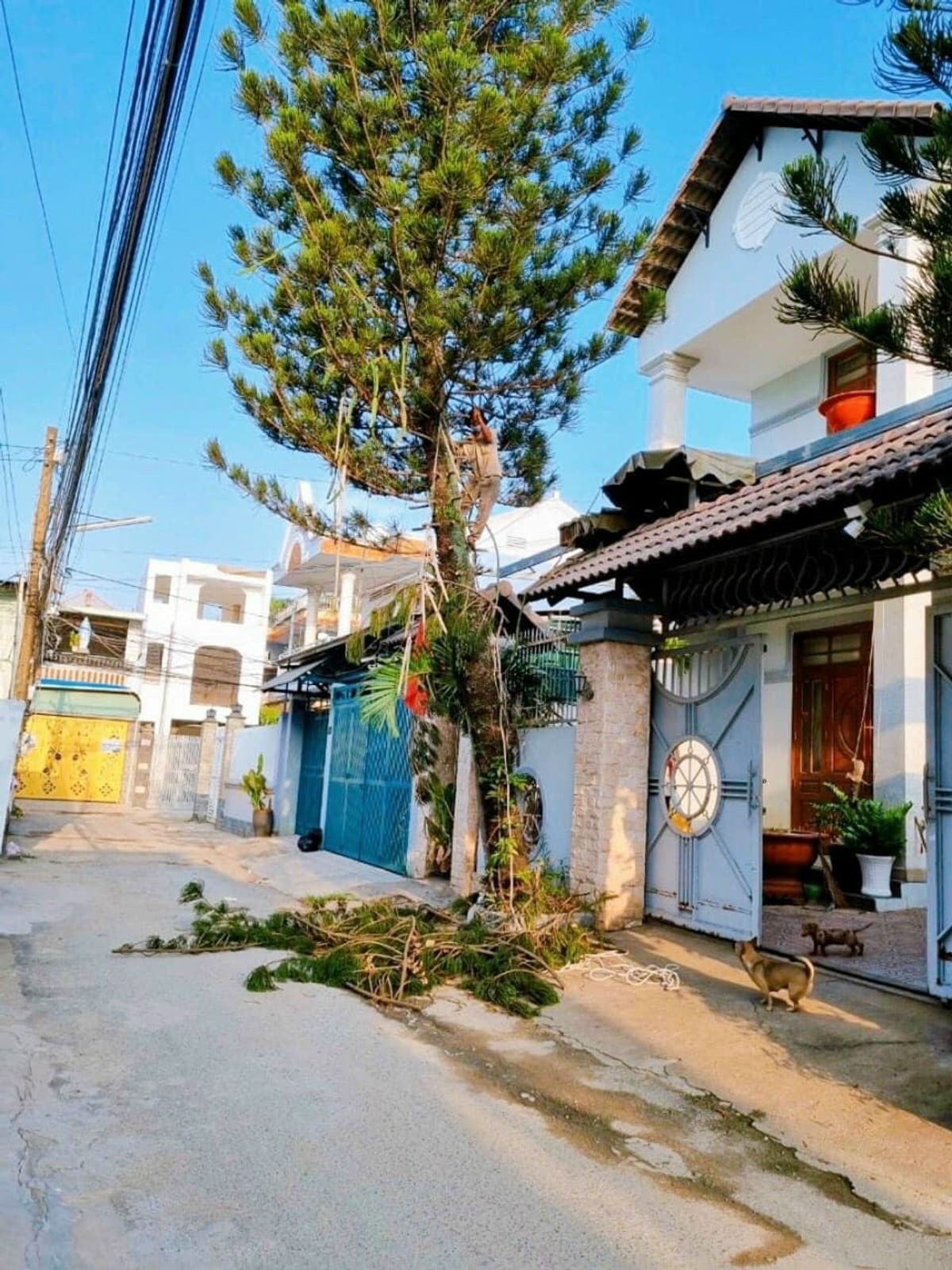 Bán lô đất biệt thự mặt tiền đường Phùng Hưng ngang 20m Đồng Nai