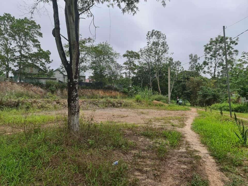 Chính chủ cần bán lô đất 1400 siêu đẹp tại Việt Hưng, Hạ Long