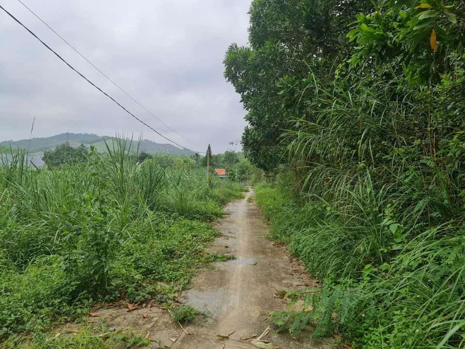 Chính chủ cần bán lô đất 1400 siêu đẹp tại Việt Hưng, Hạ Long