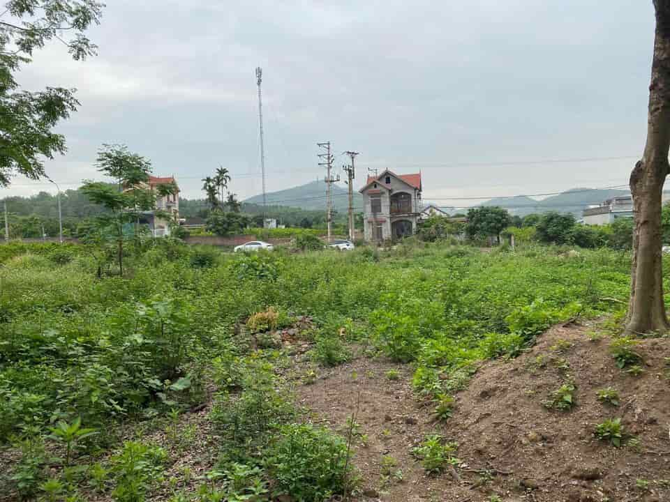 Chính chủ bán lô đất 229m2 tại Bình Khê, Đông Triều, Quảng Ninh giá chỉ 1,x tỷ.