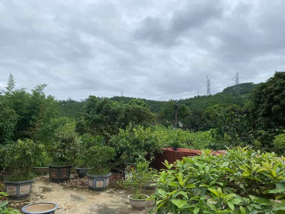 Chính chủ cần bán mảnh đất gần 1.400 m2 tại trung tâm xã Sơn Dương, Hoành Bồ, Quảng Ninh