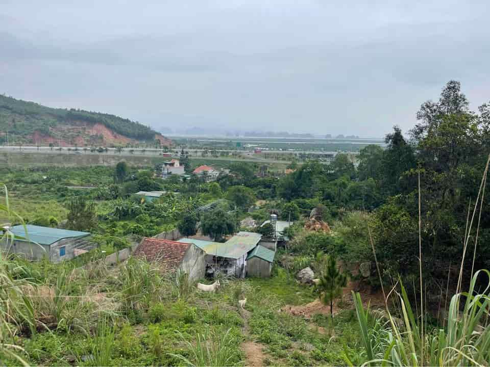 Bán lô đất Trang Trại 1925m2 tại tổ 2, khu Cầu Trắng, Đại Yên, Tp.Hạ Long