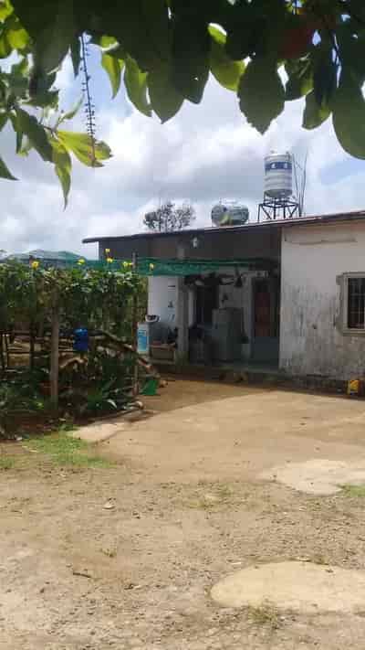 Bán lổ lô hơn 6 xào đất thổ cư ở Đambri thuộc Thành phố Bảo Lộc