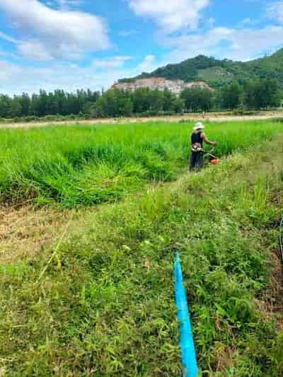 Chính chủ cần bán nhanh lô đất đẹp vị trí đắc địa tại xã Lâm sơn, Ninh Sơn, Ninh Thuận