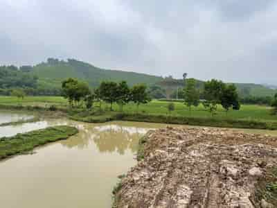 Đất đẹp, giá ưu đãi, cần bán lô đất đẹp tại Lương Sơn, Hòa Bình