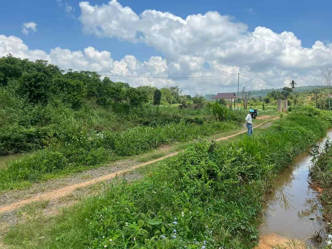 Đất đẹp, giá tốt, cần bán lô đất vị trí đắc địa tại huyện Di Linh, Lâm Đồng