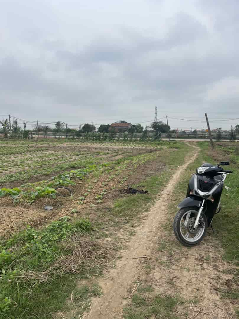 Chính chủ cần bán nhanh lô đất đẹp tại Thị trấn Cẩm Giàng, Huyện Cẩm Giàng, Tỉnh Hải Dương