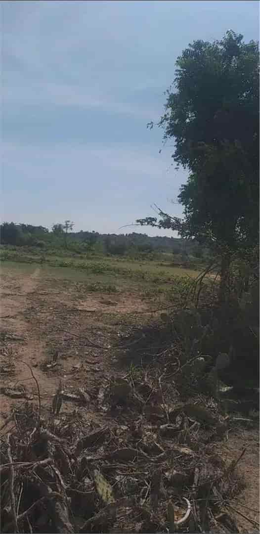 Đất đẹp giá tốt, cần bán lô đất vị trí đẹp tại xã Phước Thái, huyện Ninh Phước, Ninh Thuận