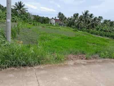 Cần bán nhanh lô đất tiềm năng giá tốt tại huyện Tam Bình, tỉnh Vĩnh Long