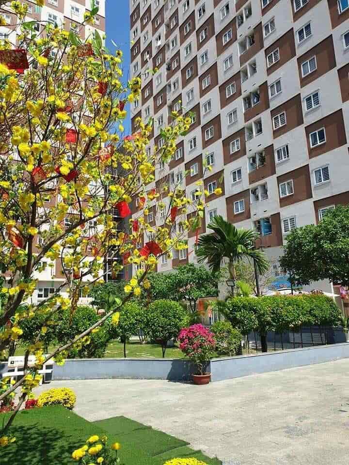 Sở hữu ngay căn hộ Đạt Gia, view Landmak phường Tam Bình, TP Thủ Đức,bHồ Chí Minh