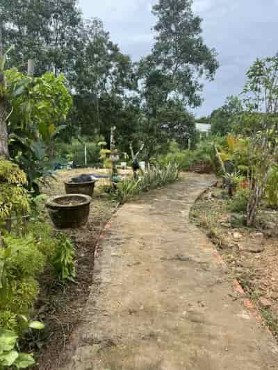Chính chủ cần bán nhanh lô đất đẹp tại ấp Chuông Vích, xã Gành Dầu, TP Phú Quốc , Kiên Giang