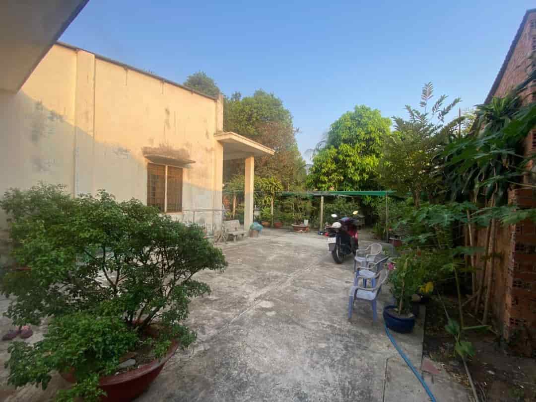 Chính chủ cần bán nhà vườn cấp 4 tại Phú Thọ, Thủ Dầu Một, giá cực rẻ