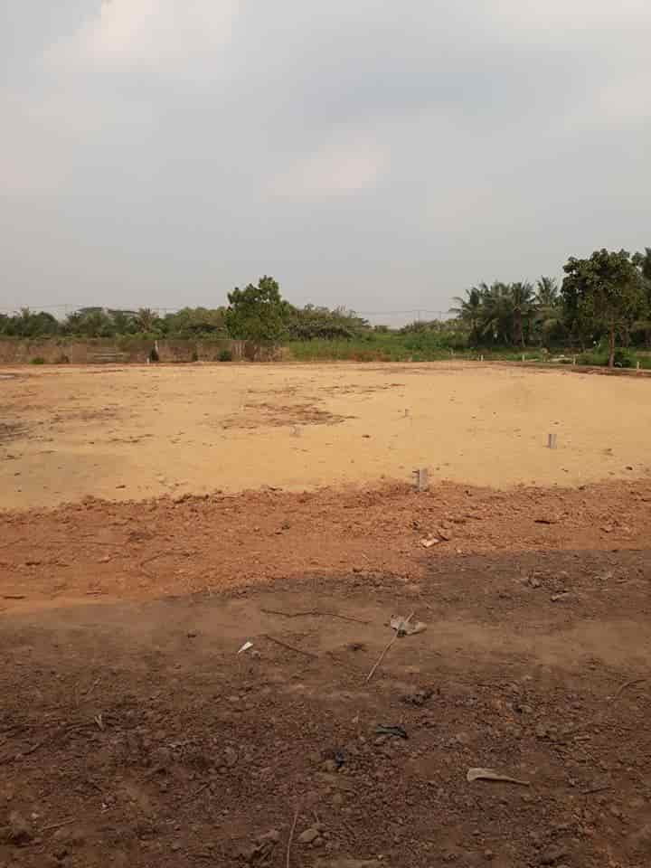 Đất đẹp, giá siêu đầu tư, cần bán đất tại Phú Bình, Phú Tân, An Giang