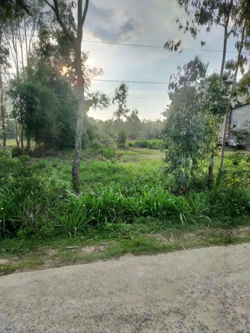 Chính chủ cần bán gấp lô đất giá cực rẻ tại xã Hòa Sơn, Huyện Krông Bông, Đăk Lăk