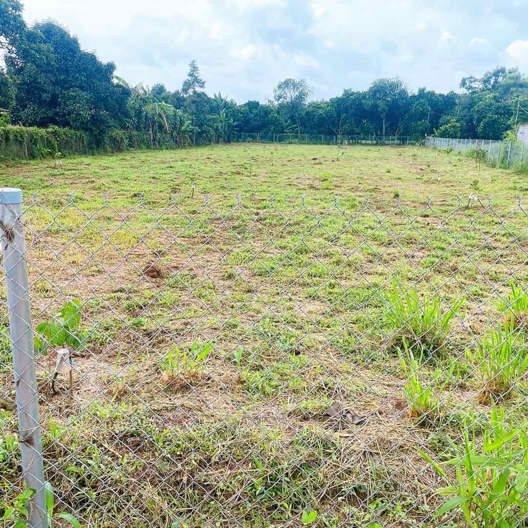 Cần bán lô đất rẫy tại Ấp 1, xã Bình Lộc, TP. Long Khánh, Tỉnh Đồng Nai.