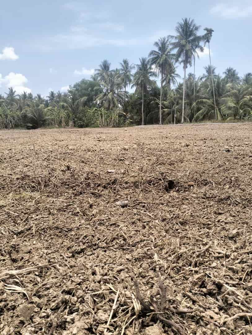 Chính chủ cần bán lô đất đẹp tại ấp Phú Quý, xã Vĩnh Hựu, huyện Gò Công Tây, Tiền Giang