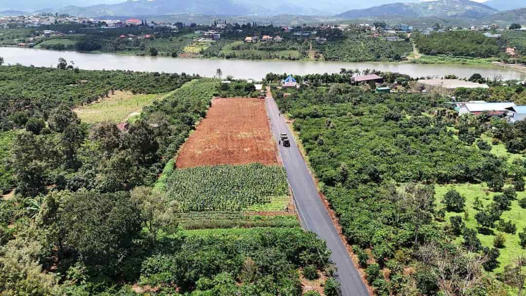 Đất đẹp, đầu tư sinh lời, chính chủ cần bán nhanh lô đất vị trí đắc địa Thị Trấn Di Linh, Lâm Đồng