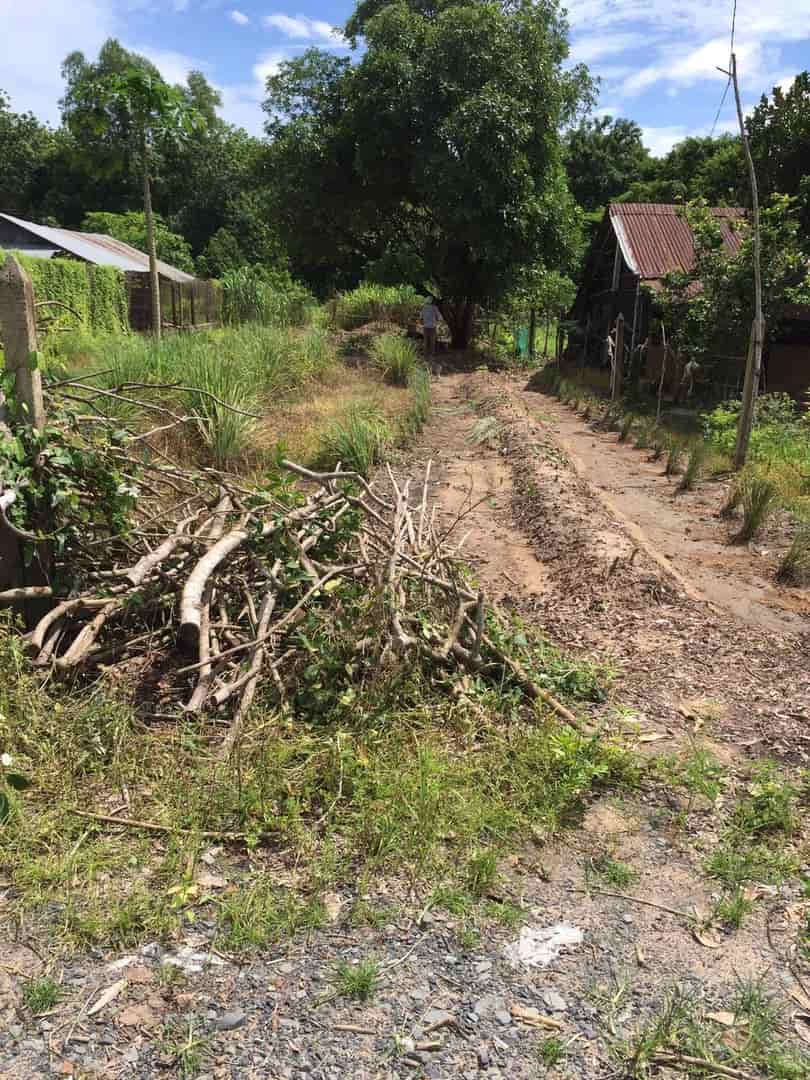 Chính chủ cần bán lô đất tại Ấp Chánh, xã Hiệp Thạnh, huyện Gò Dầu, tỉnh Tây Ninh.