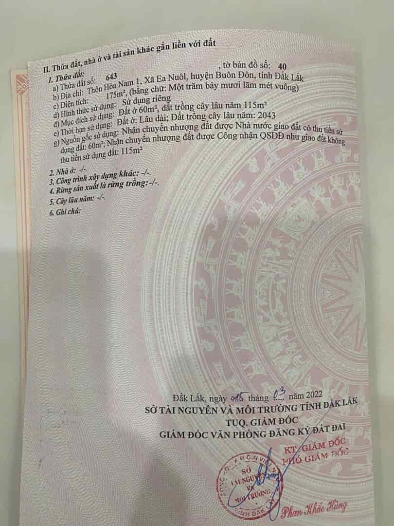 Chính chủ bán đất tại mặt tiền tỉnh lộ 1, Nguyễn Thị Định, xã Ea Nuôl, Buôn Đôn, Đắk Lắk