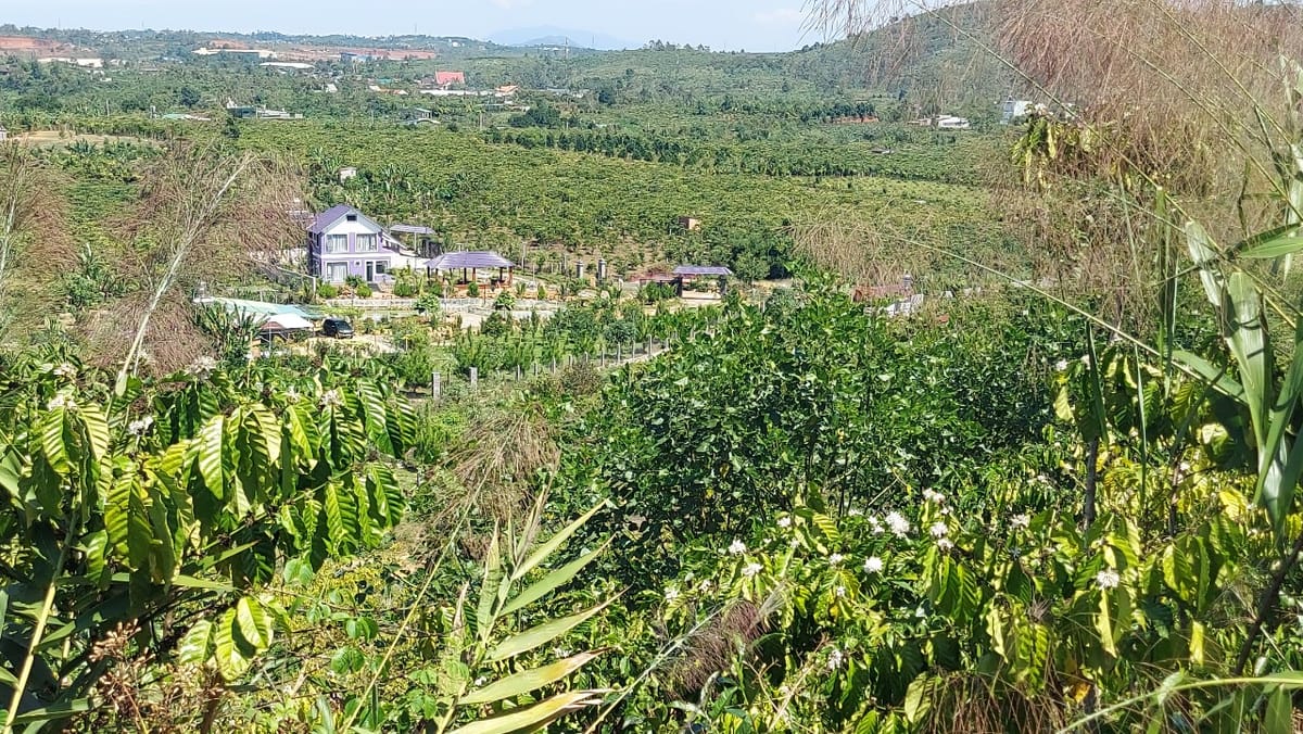 Sở hữu ngay lô đất vị trí đắc địa tại xã Lộc Thành, Bảo Lâm, Lâm Đồng