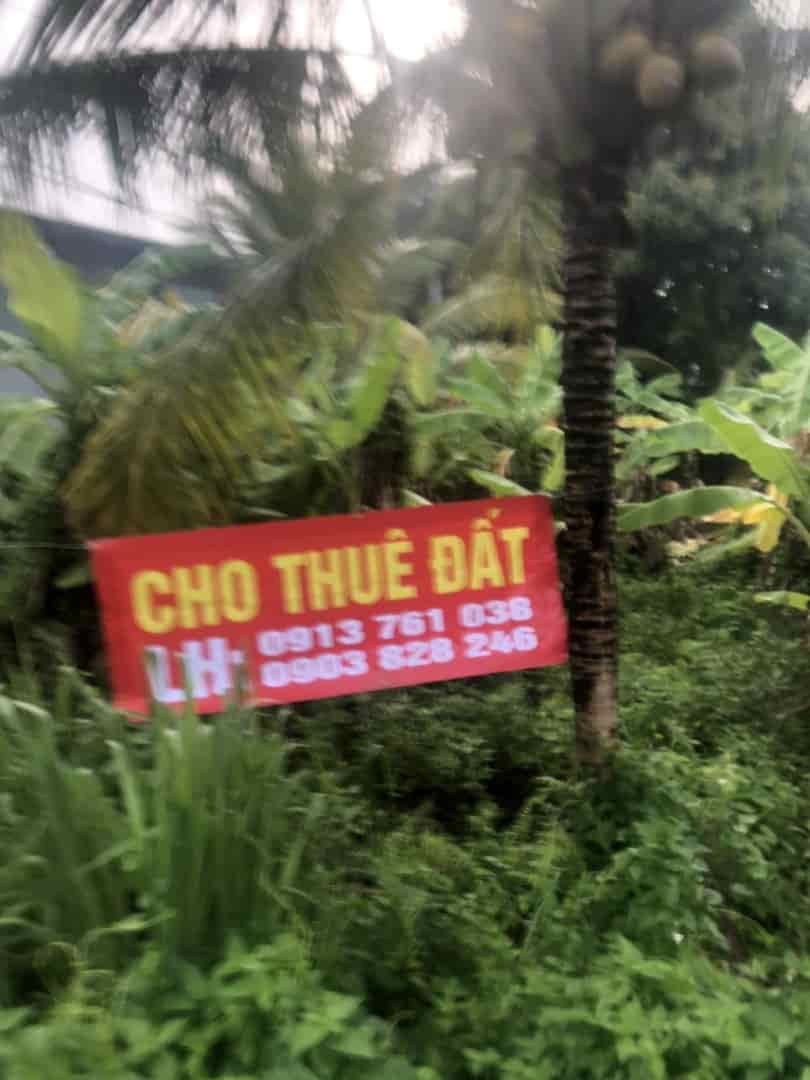 Chính chủ cho thuê nhanh lô đất tại xã Nhị Bình, Huyện Hóc Môn, Tp Hồ Chí Minh