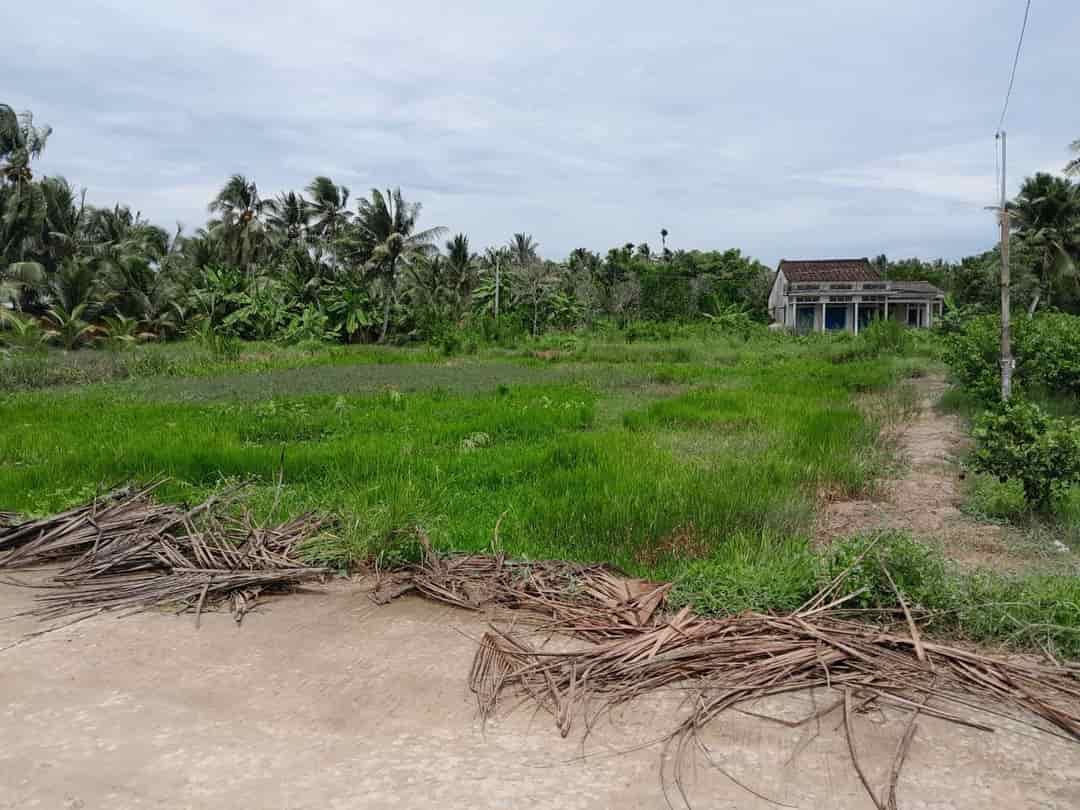 Cần bán nhanh lô đất tiềm năng, giá tốt tại huyện Tam Bình, tỉnh Vĩnh Long