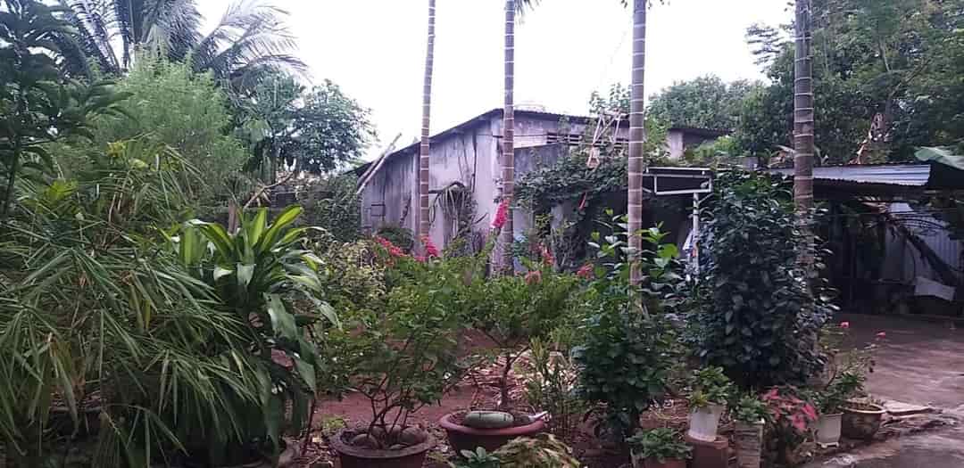 Chính chủ bán nhanh nhà đất vị trí đẹp tại xã Hòa Phú, Buôn Ma Thuột Đắk Lắk