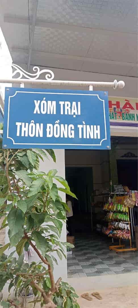 Chính chủ cần bán nhanh lô đất tại xã Định Hưng, huyện Yên Định, tỉnh Thanh Hóa