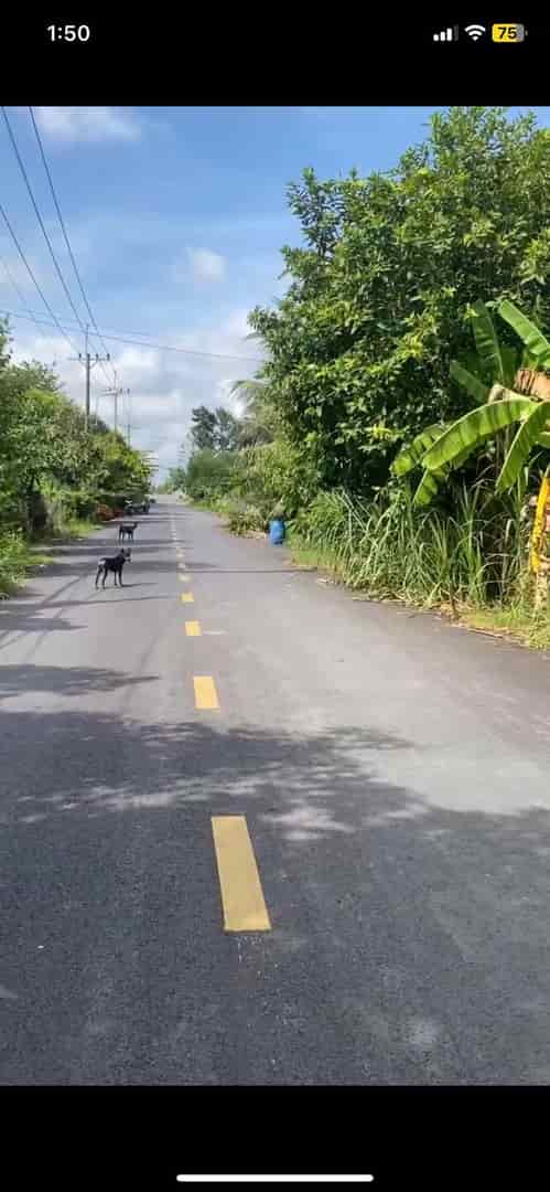 Đất đẹp, giá tốt, chính chủ cần bán lô đất vị trí đẹp tại xã Trung An ,Củ Chi, Hcm