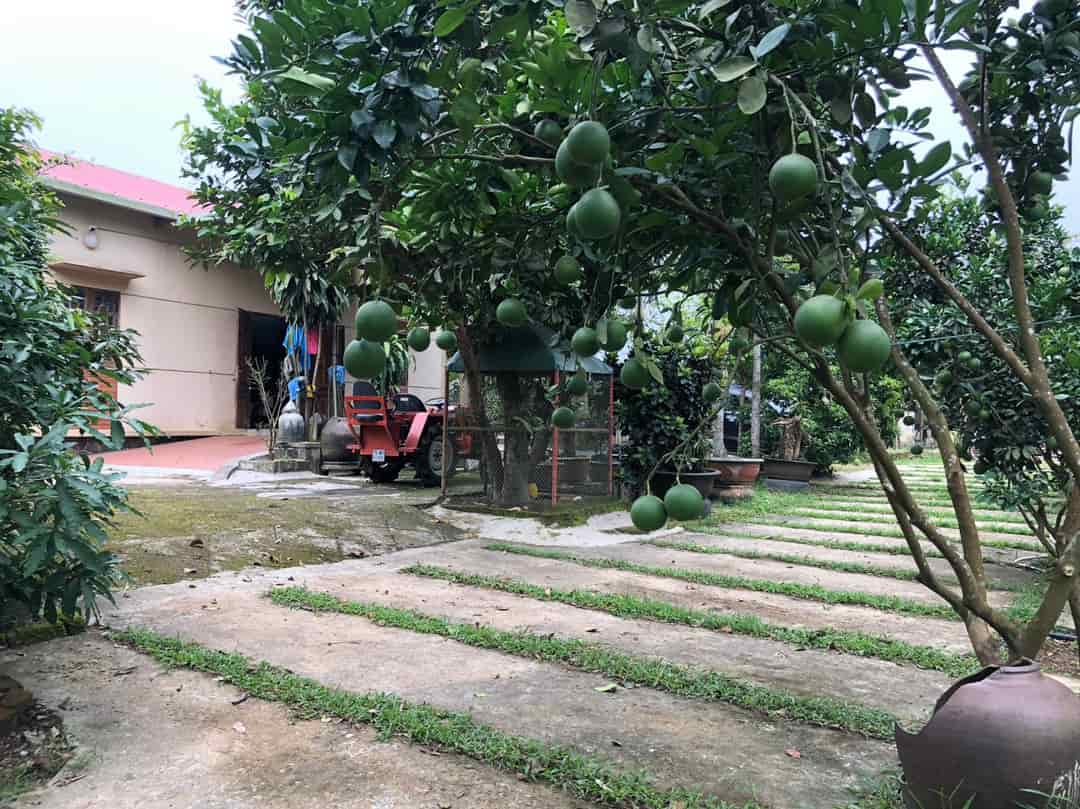 Chính chủ cần bán lô đất mặt tiền tại phường Thủy Phương, thị Xã Hương Thủy, Thừa Thiên Huế