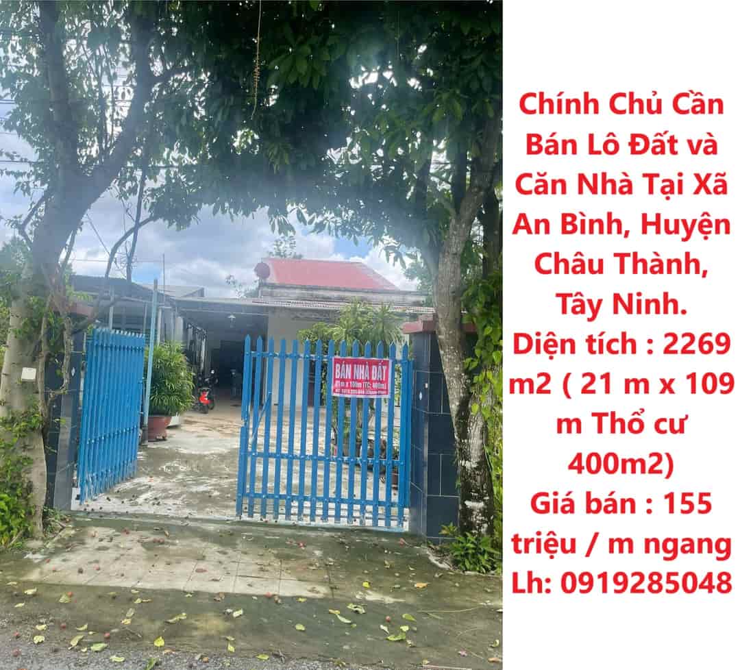 Chính chủ cần bán lô đất và căn nhà tại xã An Bình, huyện Châu Thành, Tây Ninh.