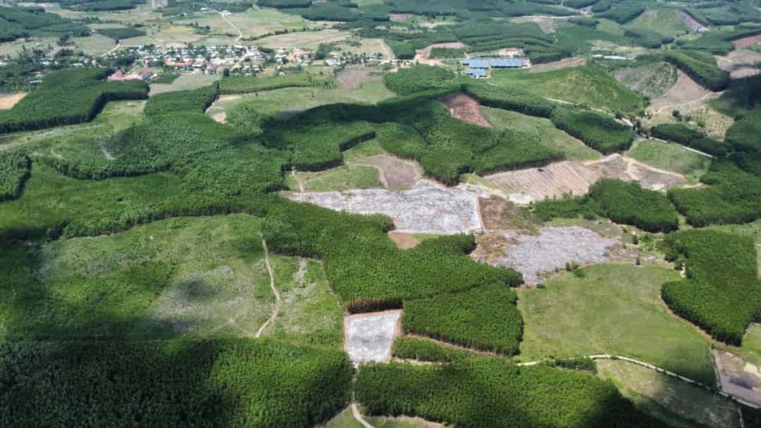 Chỉ 120tr mỗi lô, sổ hồng riêng đất trồng cây ở Khánh Hòa