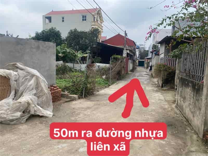 Bán nhanh 58m tại Xóm Đình, Đông Xuân, Sóc Sơn, Hà Nội, full thổ cư, đường thông ô tô vào đất