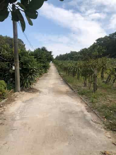 Cần bán đất 17,600m2 đất cây lâu năm kèm đất ở tại khu Tân Lập 2, Phương Đông, TP Uông Bí, tỉnh Quảng Ninh