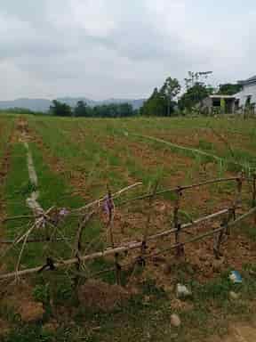 Chính chủ cần bán lô đất đẹp tại huyện Thạch Thành, Tỉnh Thanh Hóa