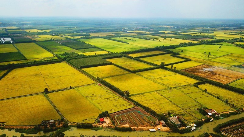 Có nên đầu tư đất nông nghiệp chờ tăng giá khi thị trường đang hạ nhiệt?