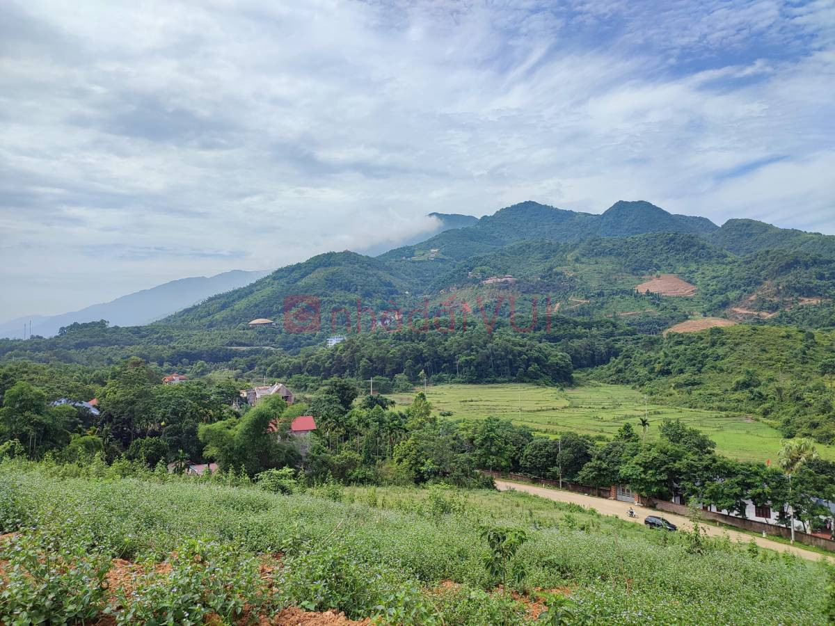 View có một không hai tại Yên Trung, Thạch Thất, Hà Nội với diện tích gần 1.9HA, bám đường 446 gần 160m