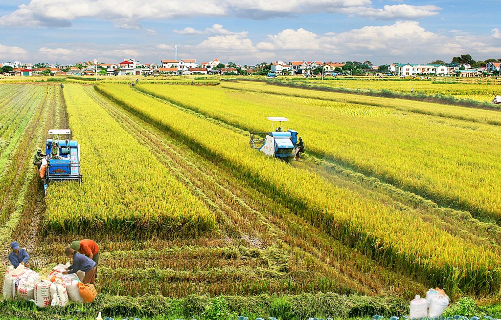 Khi mua bán đất nông nghiệp chuyển sang đất ở cần lưu ý những gì?