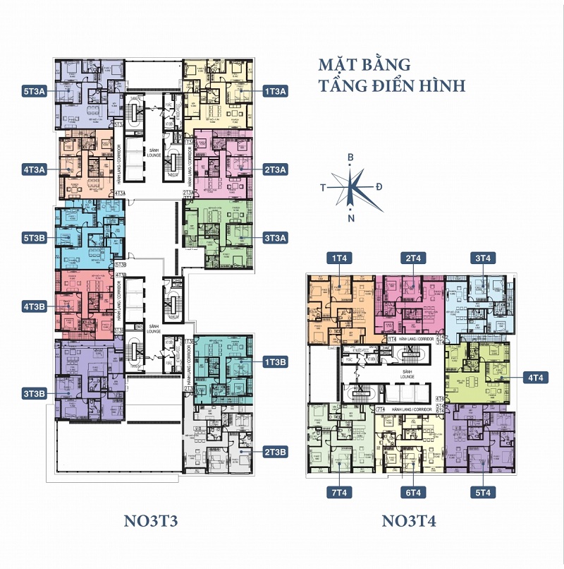 N03-T3&T4 Ngoại Giao Đoàn